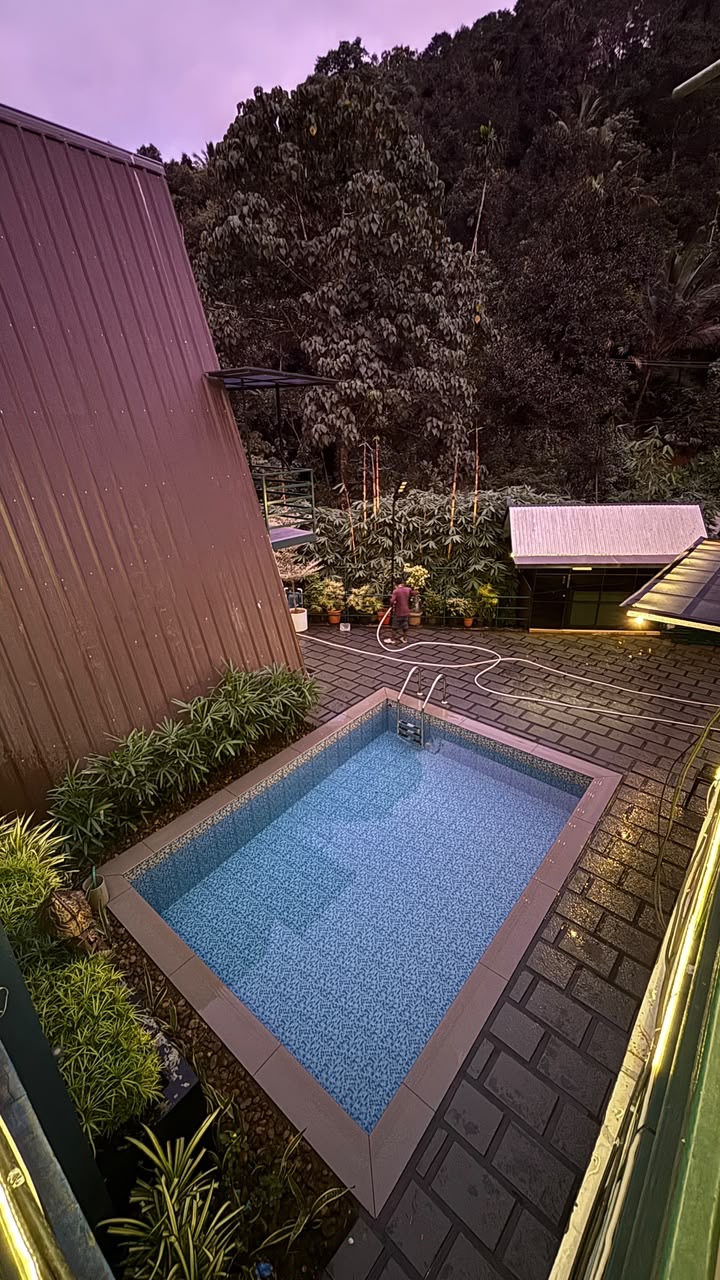 Pool surrounded by lush Munnar greenery